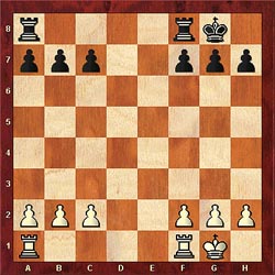 Castles in Chess: Chess Rooks