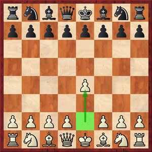 Rules for playing chess, an advantage, an essay, and an Explanation of the Chess  game's rule