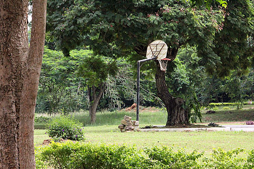 Could there be a Michael Jordan on the premises? Probably how Hakeem Olajuwon started in Nigeria.